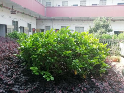 脊椎不好，暗示你的問題有哪些？